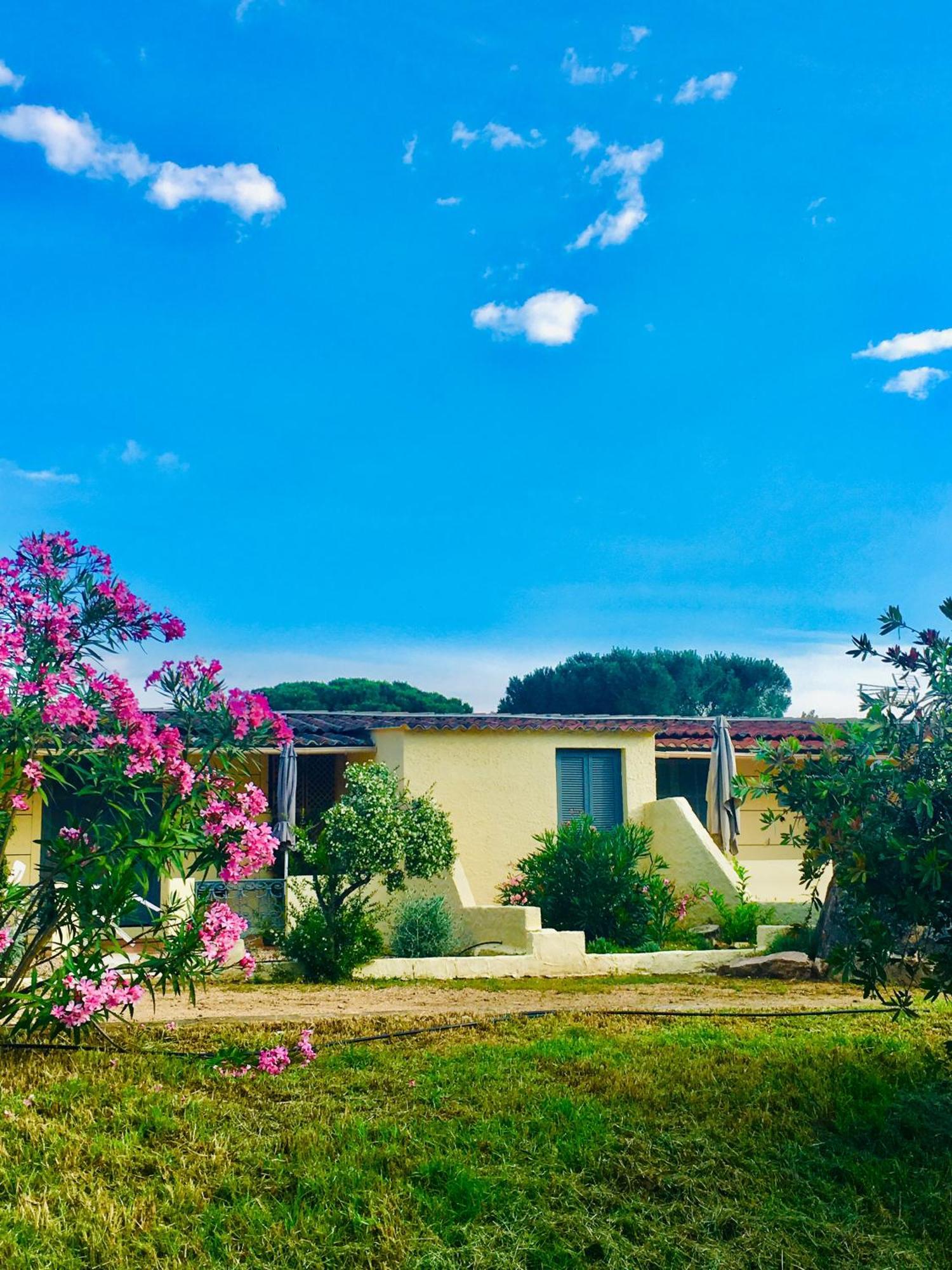 Bungalows Filippi Porto-Vecchio  Zewnętrze zdjęcie